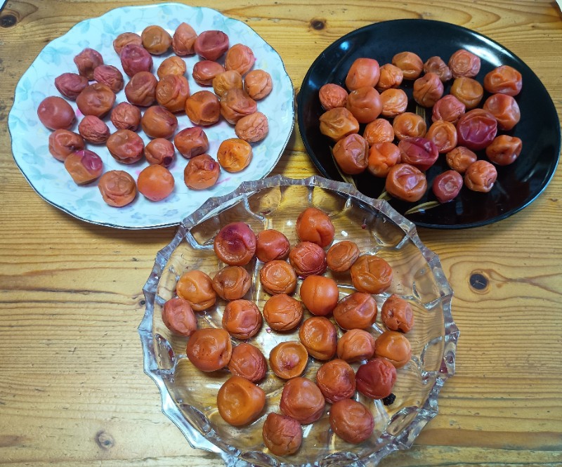 ステップ13